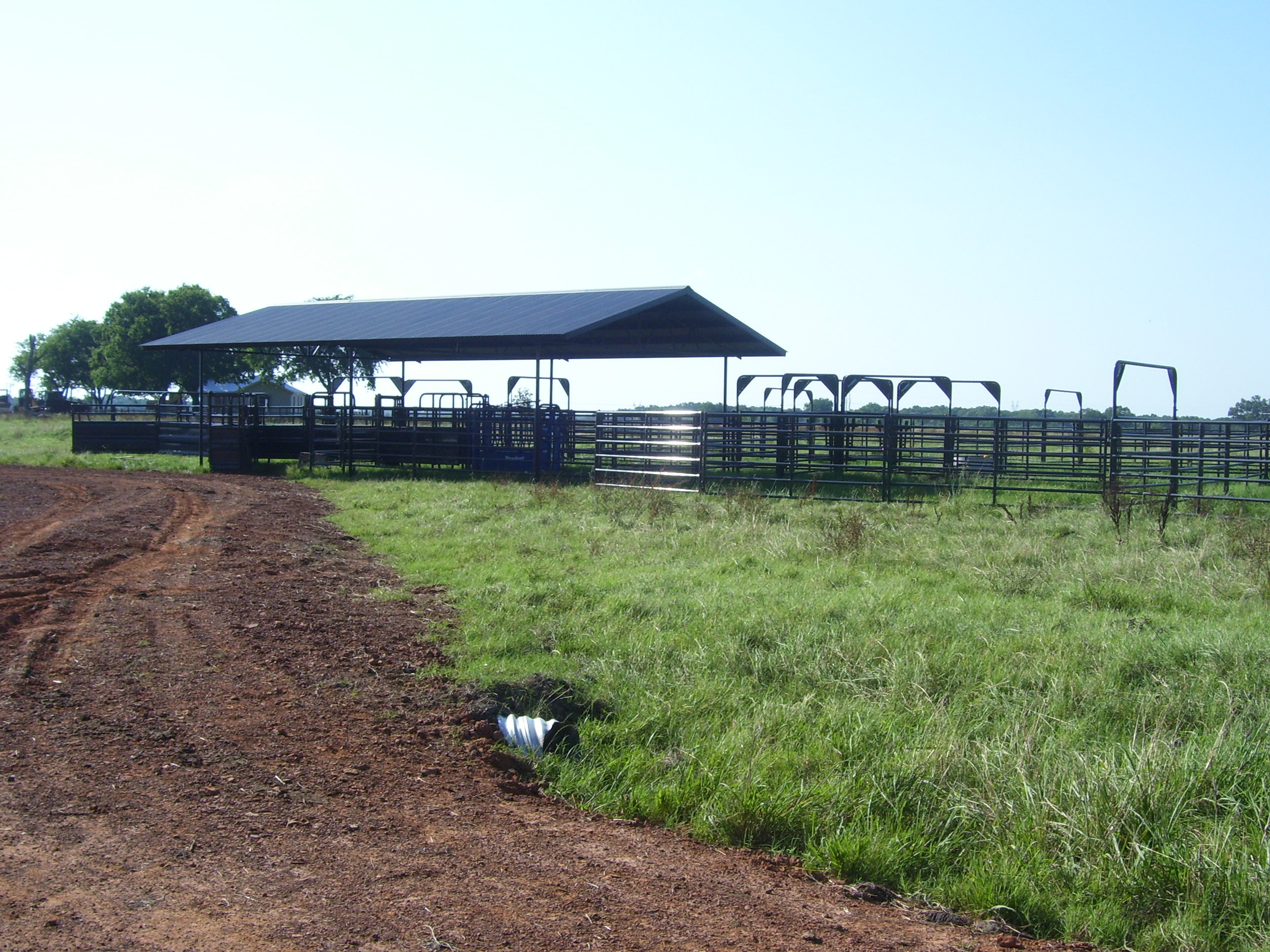 Rough Stock Corral 06 Womack.jpg